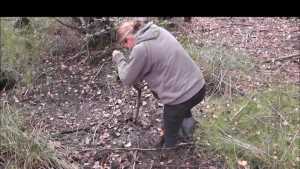 knee-deep_1.jpg