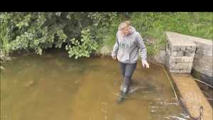 knee-deep_6.jpg