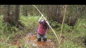 molly-to-the-rescue_3.jpg