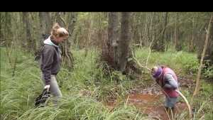molly-to-the-rescue_6.jpg
