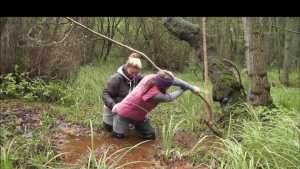 molly-to-the-rescue_8.jpg