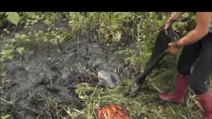mollys-mudness_10.jpg