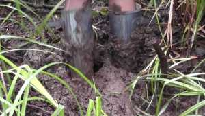 nicky--after-work-muddy-fun_4.jpg
