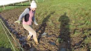 nicky--denvers-swamps_2.jpg