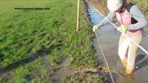 nicky--denvers-swamps_4.jpg