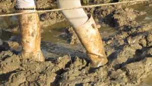 nicky--denvers-swamps_9.jpg