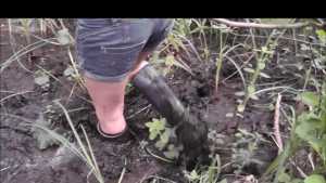 wellies-in-a-swamp_4.jpg