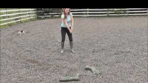 welly-abuse_2.jpg