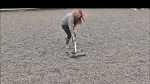 welly-abuse_3.jpg